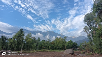  Residential Plot for Sale in Thakur Dwara, Palampur
