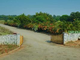  Agricultural Land for Sale in Chilkur, Hyderabad