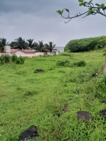  Residential Plot for Sale in Shrivardhan, Raigad