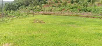  Agricultural Land for Sale in Mandangad, Ratnagiri