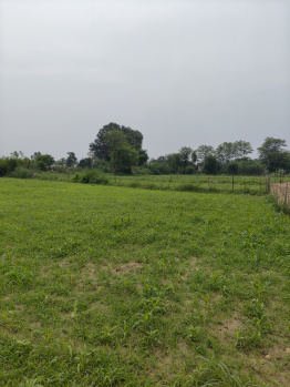  Agricultural Land for Sale in Haroli, Una