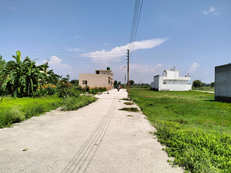  Residential Plot 150 Sq. Yards for Sale in Patanjali Yogpeeth, Haridwar