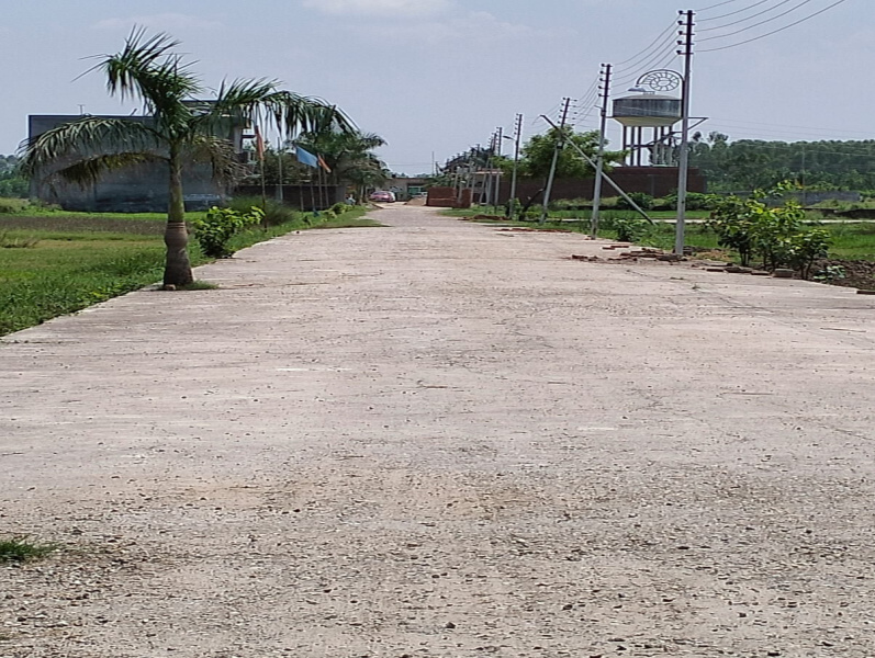  Residential Plot 170 Sq. Yards for Sale in Patanjali Yogpeeth, Haridwar