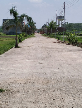  Residential Plot for Sale in Patanjali Yogpeeth, Haridwar