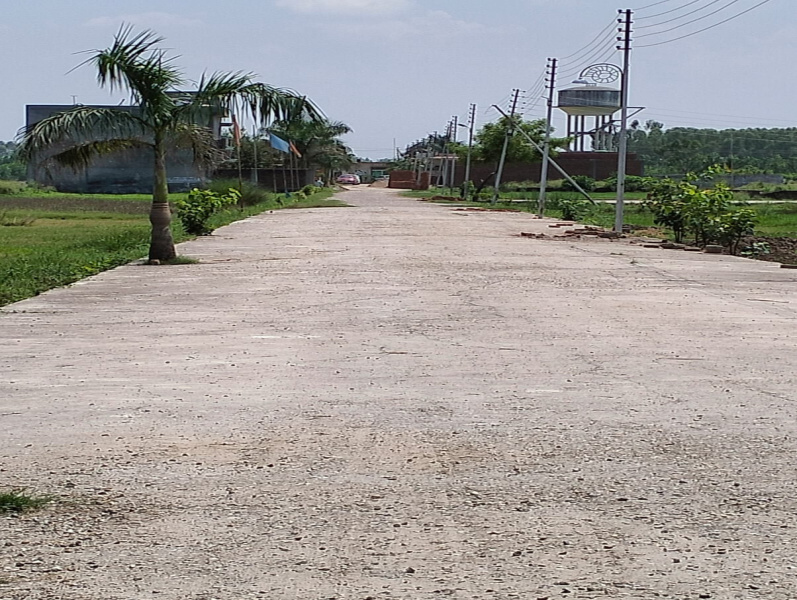  Residential Plot 120 Sq. Yards for Sale in Patanjali Yogpeeth, Haridwar