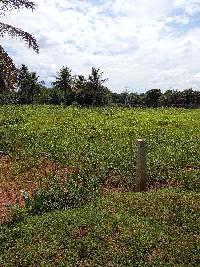  Agricultural Land for Sale in Vadakkipalayam, Coimbatore