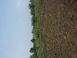  Commercial Land for Sale in Saoner, Nagpur