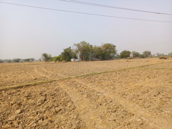  Industrial Land for Sale in Hariyala, Kheda