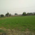  Agricultural Land for Sale in NH 8, Kheda