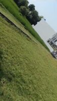  Residential Plot for Sale in Karan Bagh, Jammu