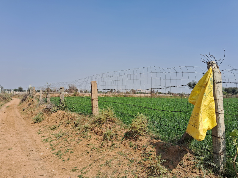  11 Bigha Agricultural/Farm Land for Sale in Bichoon, Jaipur