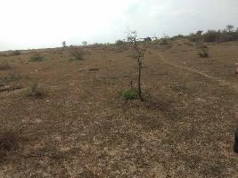  Agricultural Land for Sale in Rajpipla Chowkdi, Ankleshwar