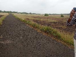  Agricultural Land for Sale in Malvan, Sindhudurg