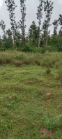  Agricultural Land for Sale in Virajpet, Kodagu