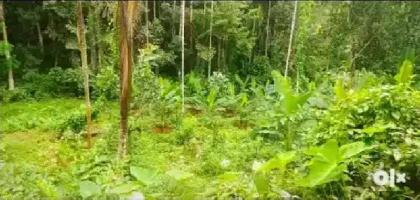  Residential Plot for Sale in Mallappally, Pathanamthitta