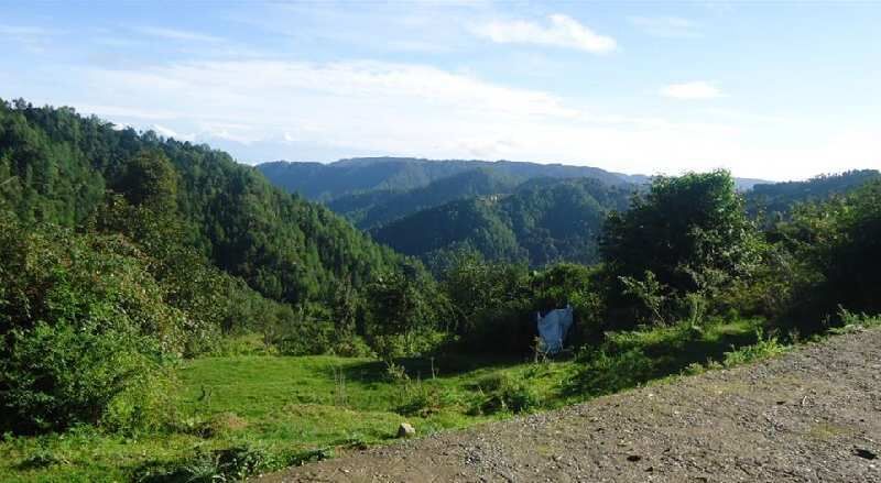  Residential Plot 900 Sq.ft. for Sale in Mukteshwar, Nainital