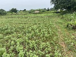  Agricultural Land for Sale in Gingee, Villupuram