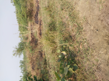  Commercial Land for Sale in Waghodia GIDC, Vadodara