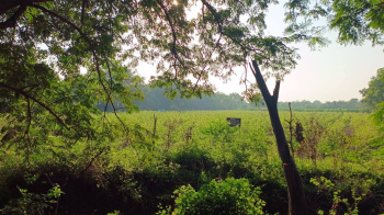 Residential Plot for Sale in Bhayli, Vadodara