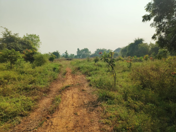 Residential Plot for Sale in Bhayli, Vadodara