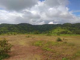  Residential Plot for Sale in Amba, Kolhapur