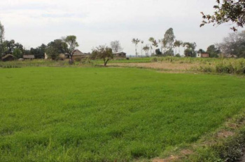  Agricultural Land for Rent in Mandvi, Kutch