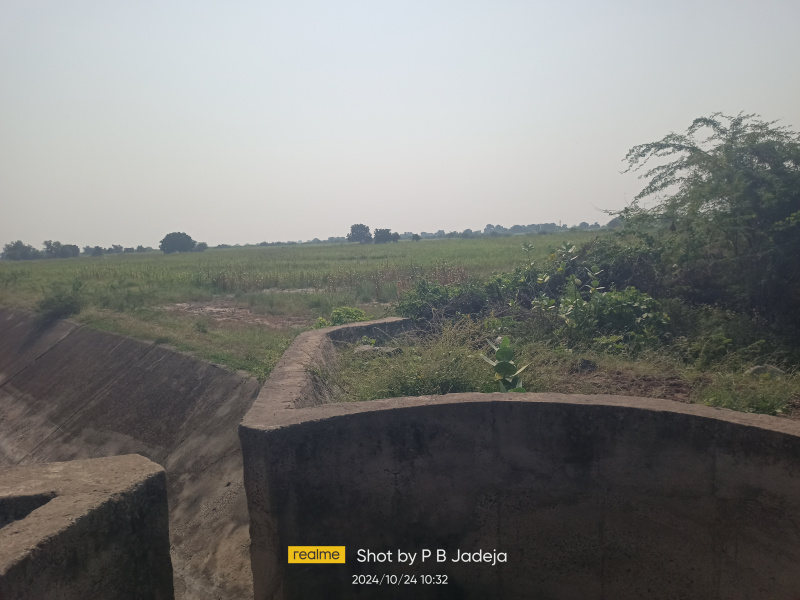  Agricultural Land 500 Acre for Sale in Limbdi, Surendranagar