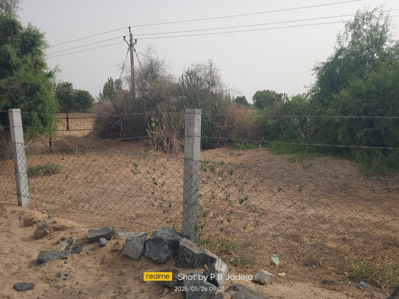  Agricultural Land 1500 Acre for Rent in Tharad, Banaskantha