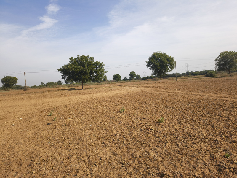  1000 Acre Agricultural/Farm Land for Sale in Rapar, Kutch