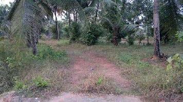  Commercial Land for Rent in Kunnathupalam, Kozhikode