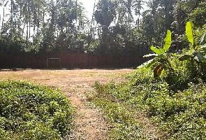 Commercial Land for Sale in Mavoor Road, Kozhikode