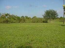  Commercial Land for Sale in Mannarkkad, Palakkad
