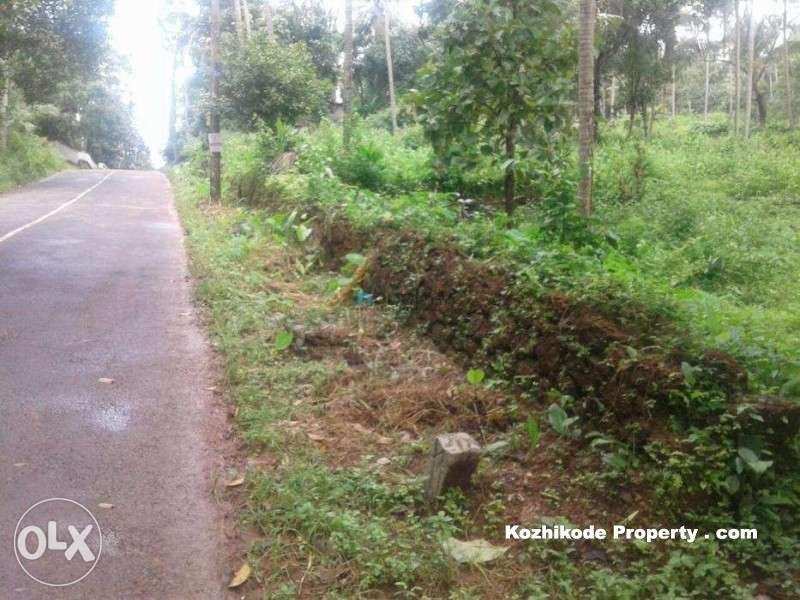 Residential Plot 1 Acre for Sale in Kunnamangalam, Kozhikode