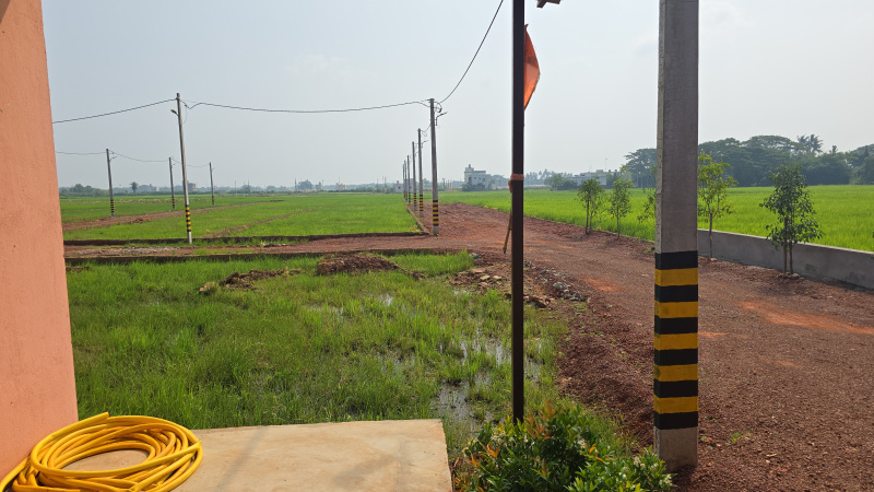  2000 Sq.ft. Residential Plot for Sale in Ranga Bazar, Bhubaneswar