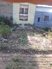  Residential Plot for Sale in Pinjore, Panchkula