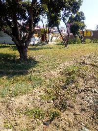 Residential Plot for Sale in Bhauwala, Dehradun