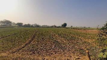  Agricultural Land for Sale in Kheragarh, Agra