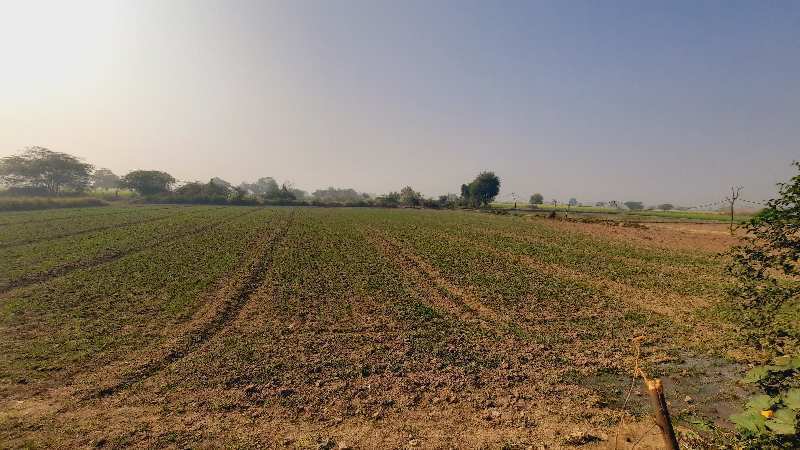 Agricultural Land 16000 Sq. Yards for Sale in Kheragarh, Agra