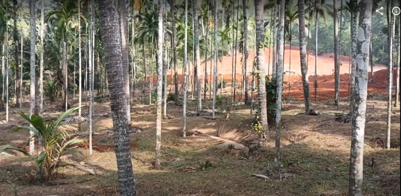  Agricultural Land 4 Acre for Sale in Sulya, Dakshin Kannad