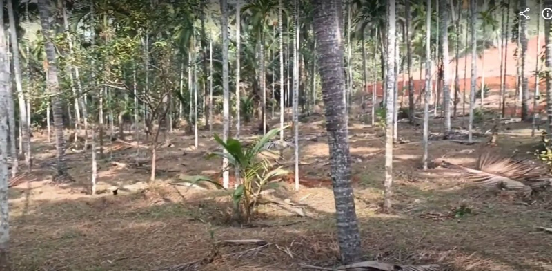  Agricultural Land 4 Acre for Sale in Sulya, Dakshin Kannad