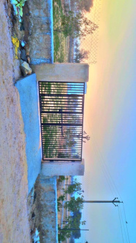  Residential Plot for Sale in Jeenmata, Sikar