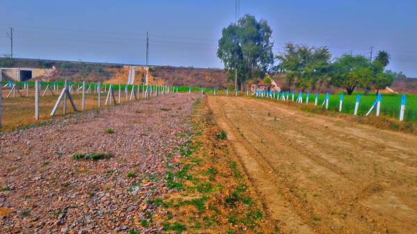  Residential Plot 60 Sq. Yards for Sale in Sohna Palwal Road, Sohna Palwal Road, Gurgaon