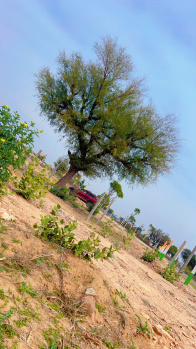  Residential Plot for Sale in Palsana Road, Sikar