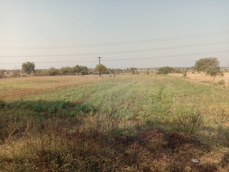  Residential Plot 76 Acre for Sale in Sihada, Khandwa