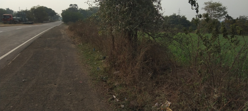  Agricultural Land 153 Acre for Sale in Chhanera, Khandwa