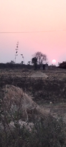  Agricultural Land 24 Acre for Sale in Civil Line, Khandwa