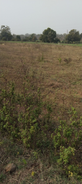  Agricultural Land 24 Acre for Sale in Civil Line, Khandwa