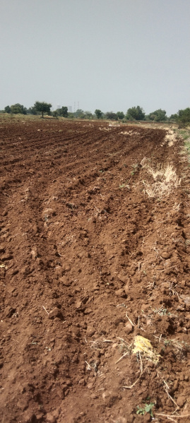  50 Bigha Agricultural/Farm Land for Sale in Pandhana, Khandwa