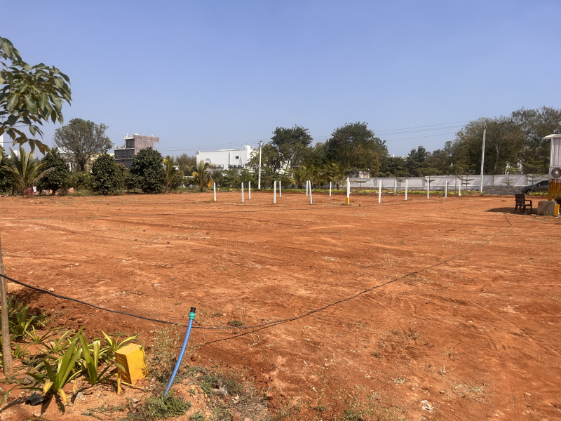  1000 Sq. Yards Residential Plot for Sale in Shamshabad, Hyderabad