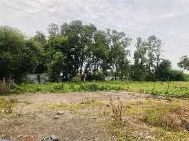  10000 Sq.ft. Agricultural/Farm Land for Rent in Mundhwa, Pune